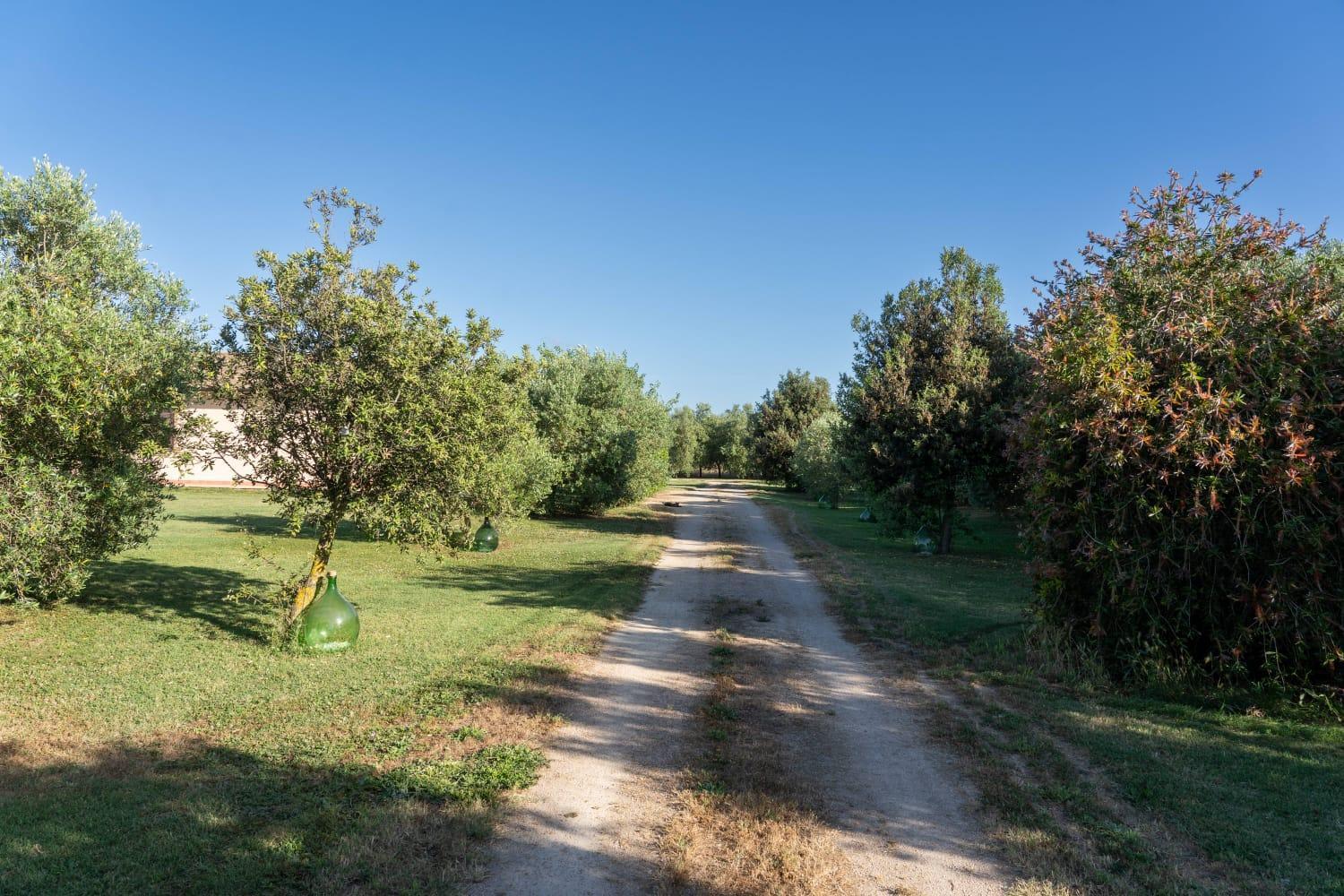 Agriturismo Lungo Albegna Manciano Exterior photo